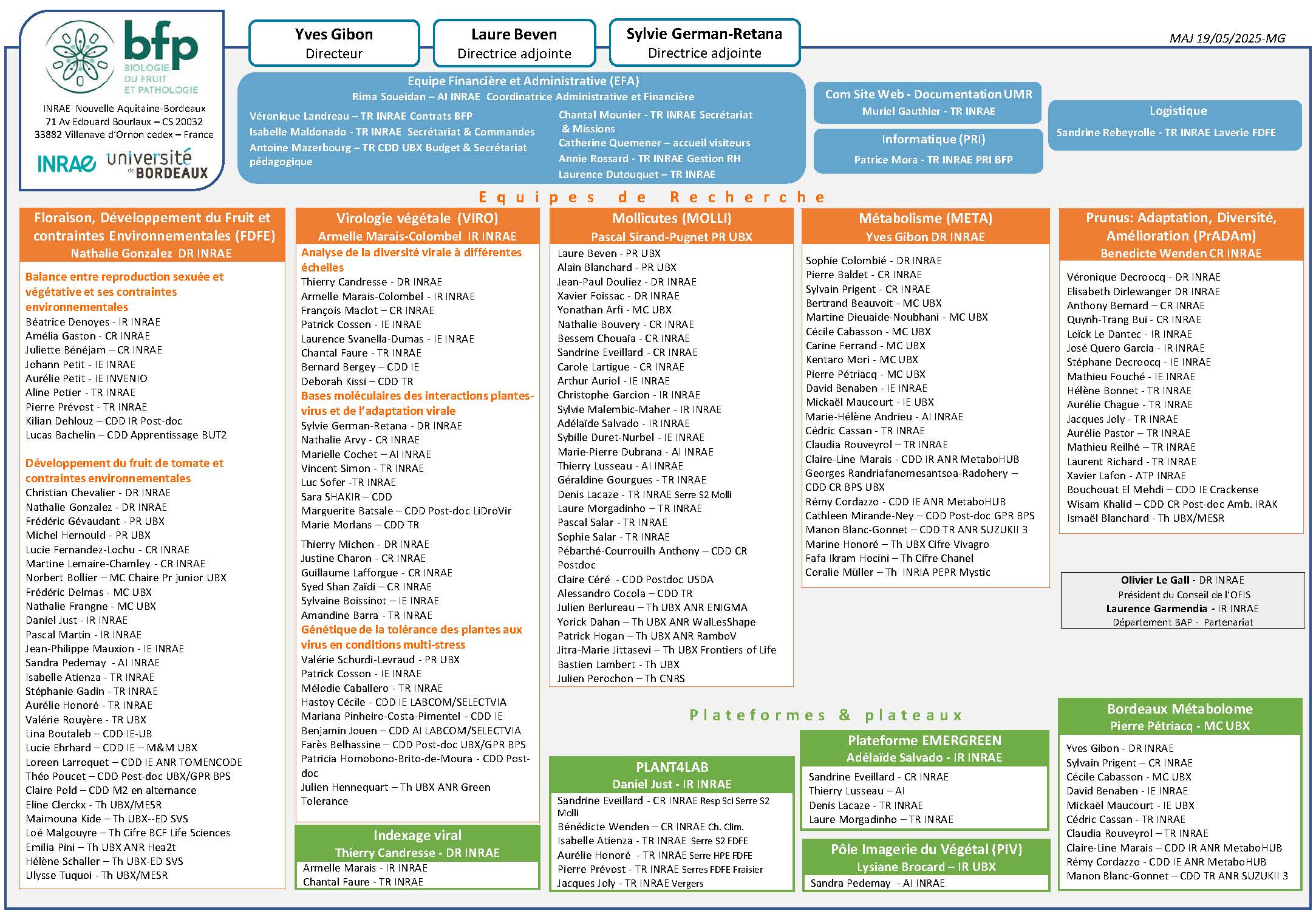 Organigramme UMR BFP 2025