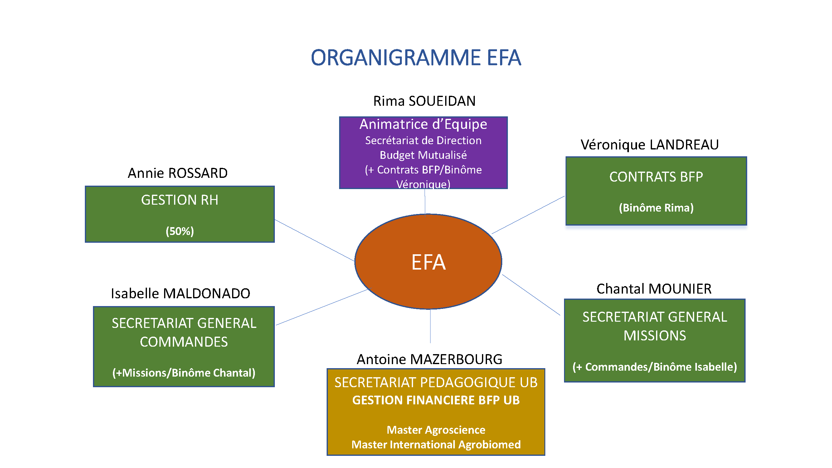 EFA - Organisation png