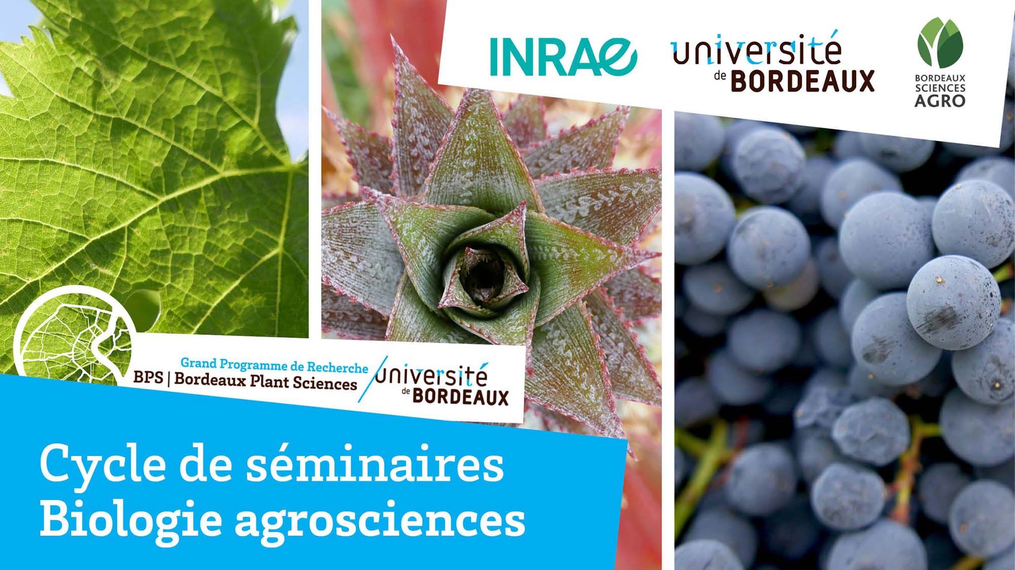 Affiche Biologie Agrosciences